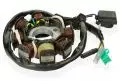 Pare-étincelles stator ATV 150 automatique