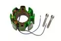 Bobină de înfășurare a alternatorului-stator Electrex