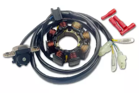 Alternatoriaus apvijos statorius su lemputėmis Electrex Honda CRF 450 02-09, CRF 250 04-09 - ST1495L