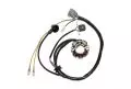 Alternatör statoru - stator Electrosport