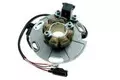 Bobinado del alternador Electrex Suzuki RM 125 89-93, RM 250 86-93