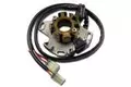 Upaljač - stator Electrex Suzuki RM 250 98-01
