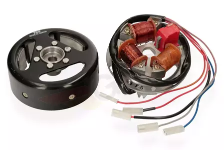 Candela di accensione + ruota magnetica da 12 V - 77160