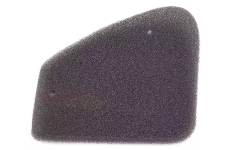 Elemento filtrante aria RMS Peugeot Buxy, Speedfight - RMS 10 060 0370