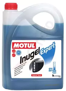 Płyn chłodniczy Motul Inugel Expert -37C 5l
