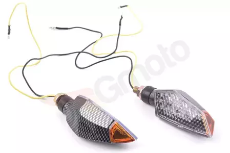 LED Teardrop Carbon-Schild-6